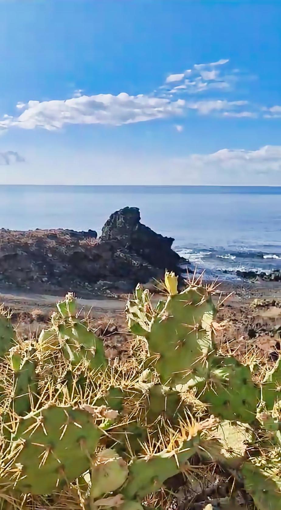 Casa Palmu Apartment - A Peaceful And Relaxing Oasis In Golf Del Sur, Tenerife サンミゲル・デ・アボナ エクステリア 写真