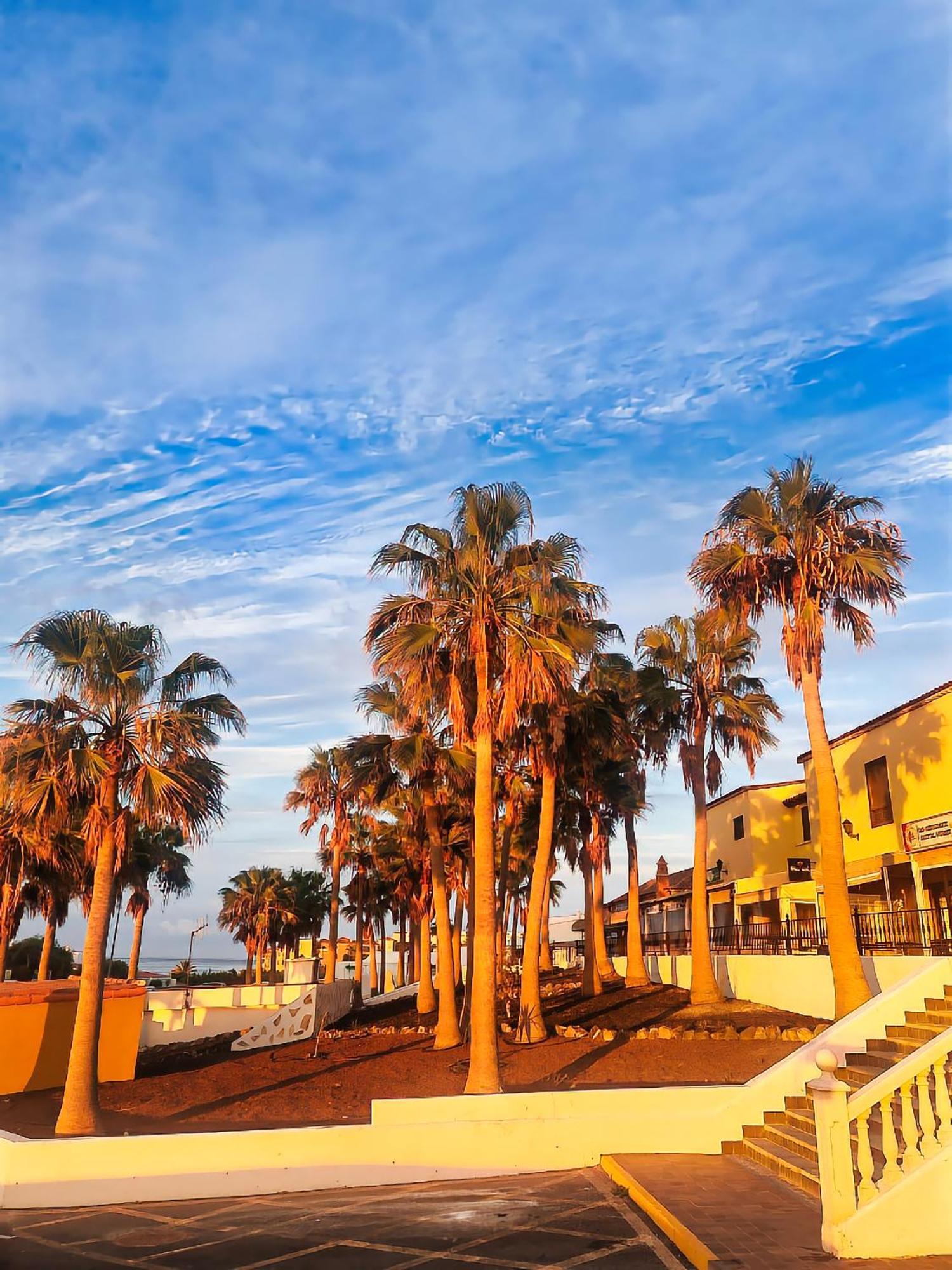 Casa Palmu Apartment - A Peaceful And Relaxing Oasis In Golf Del Sur, Tenerife サンミゲル・デ・アボナ エクステリア 写真