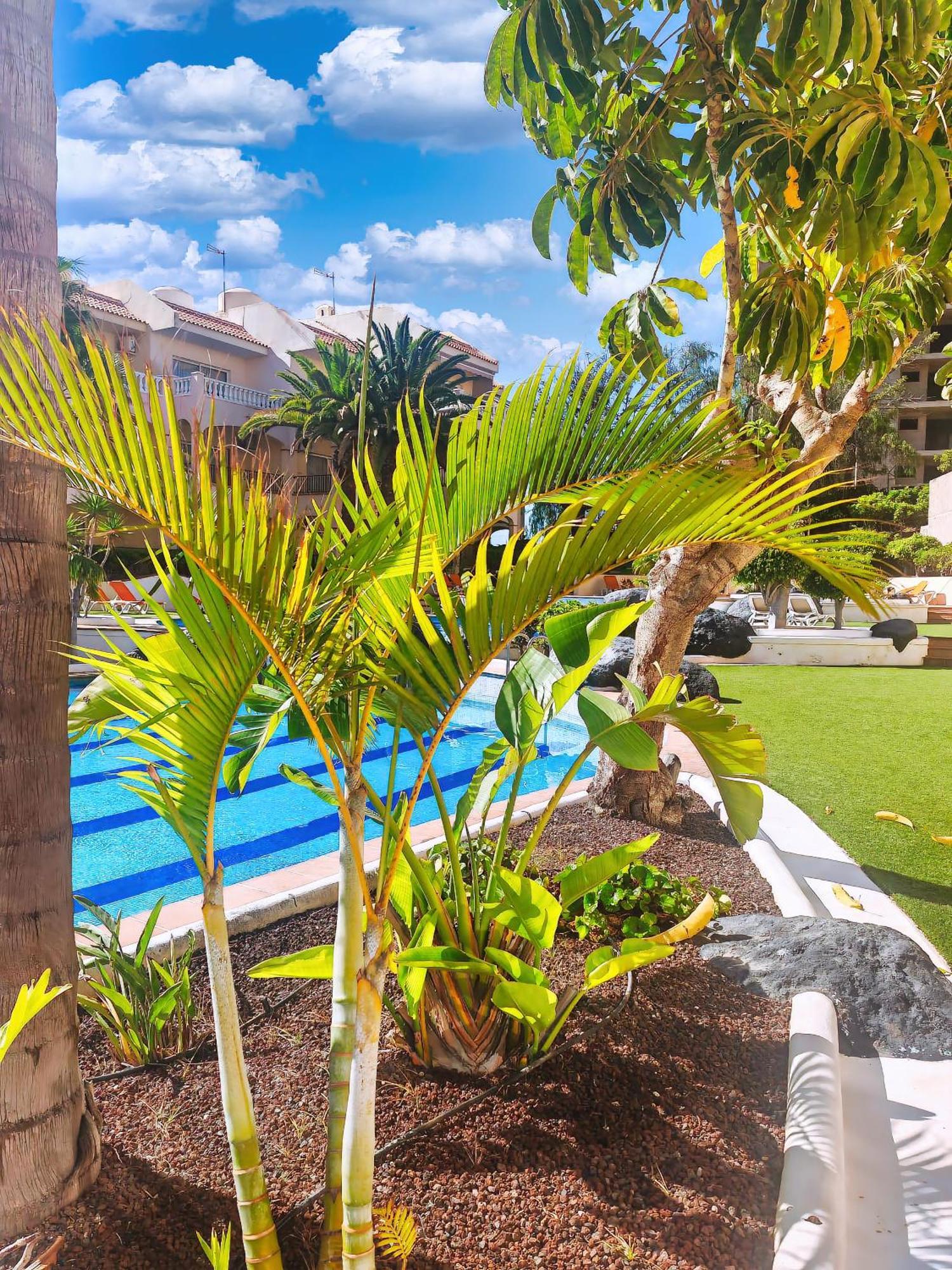 Casa Palmu Apartment - A Peaceful And Relaxing Oasis In Golf Del Sur, Tenerife サンミゲル・デ・アボナ エクステリア 写真